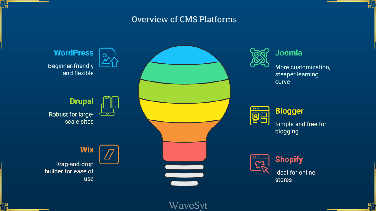 Overview of CMS Platforms